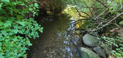3.-Stream-bed-after-regravelling-2