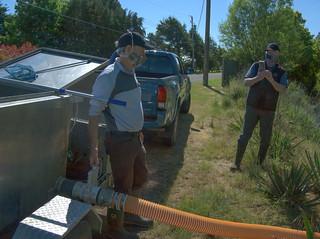 Pulling the valve open and away the smolts go into the stream.