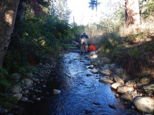 Restored area picture 10